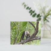 Der Affe im Dschungel Postkarte (Stehend Vorderseite)