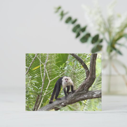 Der Affe im Dschungel Postkarte (Stehend Vorderseite)