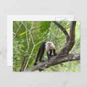 Der Affe im Dschungel Postkarte (Vorne/Hinten)