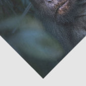 Der Affe im Dschungel Seidenpapier (Ausschnitt)