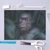 Der Affe im Dschungel Seidenpapier (Handwerk)