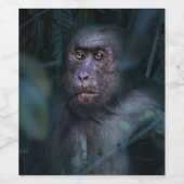 Der Affe im Dschungel Weinetikett (Einzelnes Label)