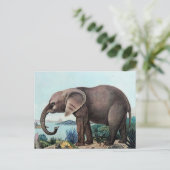 Der afrikanische Elefant oder der afrikanische Ele Postkarte (Stehend Vorderseite)