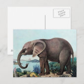 Der afrikanische Elefant oder der afrikanische Ele Postkarte (Vorne/Hinten)