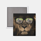 Der afrikanische Löwe jagt den Zebra Magnet (Vorderseite/Rückseite)
