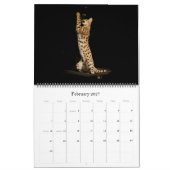 Der afrikanische Serval-Katzen-Kalender Kalender (Feb 2027)