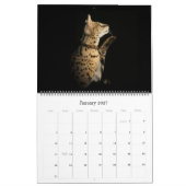 Der afrikanische Serval-Katzen-Kalender Kalender (Jan 2027)