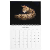 Der afrikanische Serval-Katzen-Kalender Kalender (Mär 2027)