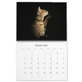 Der afrikanische Serval-Katzen-Kalender Kalender (Jan 2026)