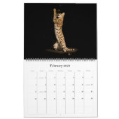 Der afrikanische Serval-Katzen-Kalender Kalender (Feb 2026)