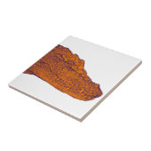 DER ALLIGATORflüchtige blick Fliese (Seite)