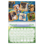 Der allmächtige niedlichste die Tier-Kalender des Kalender (Mär 2026)