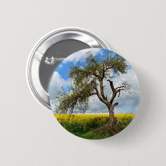 Der alte Baum Button (Vorne & Hinten)