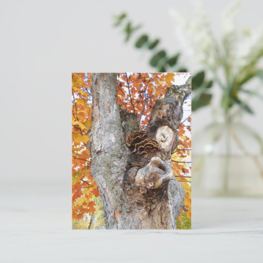 Der alte Baum Postkarte (Stehend Vorderseite)