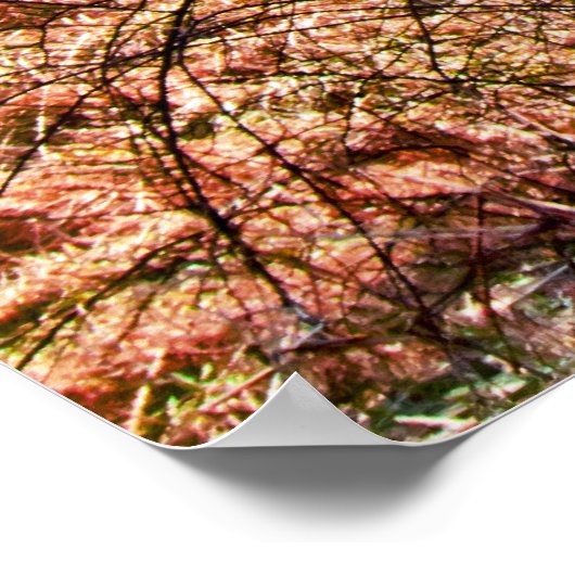 DER ALTE HOLZSCHEIBE POSTER (Ecke)