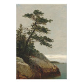 Der alte Kiefernwald, Darien, Connecticut | Kenset Fotodruck (Vorne)