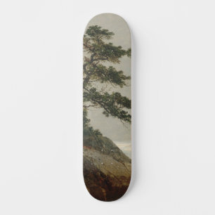 Der alte Kiefernwald, Darien, Connecticut Kenset Skateboard