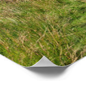 Der alte Mann der Postkartenkissen des Konistons Poster (Ecke)