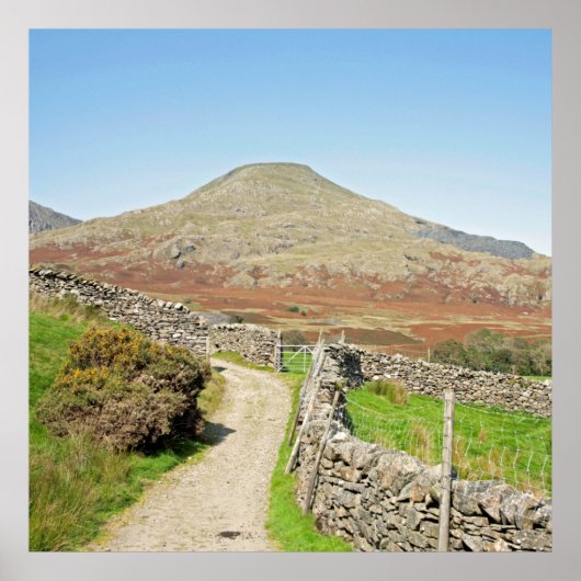 Der alte Mann der Postkartenkissen des Konistons Poster (Vorne)