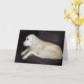 Der alte Mann mit seinem Ball Karte (Gelbe Blume)