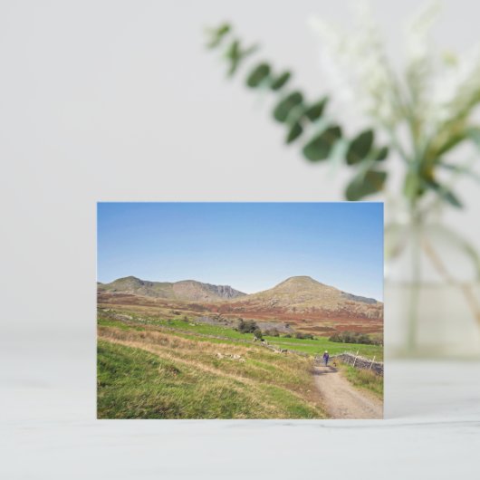 Der alte Mann von Coniston Postkarte (Stehend Vorderseite)