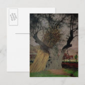 Der alte Olivenbaum, 1922 Postkarte (Vorne/Hinten)