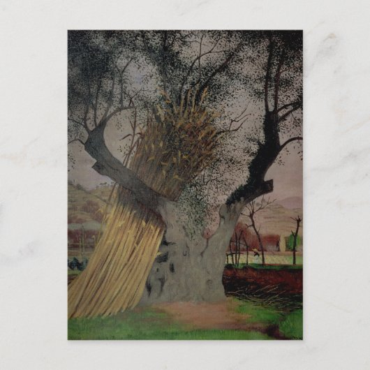 Der alte Olivenbaum, 1922 Postkarte (Vorderseite)