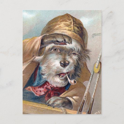 "Der alte Seehund" Vintag Postkarte (Vorderseite)
