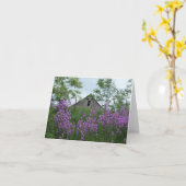 Der alte Stall sieht mir über Phlox zurück Karte (Gelbe Blume)