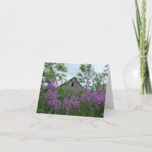 Der alte Stall sieht mir über Phlox zurück Karte