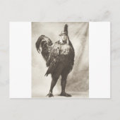 Der am meisten verdaute Hühnermann Postkarte (Vorderseite)
