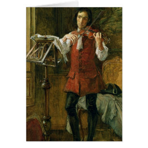 Der Amateur