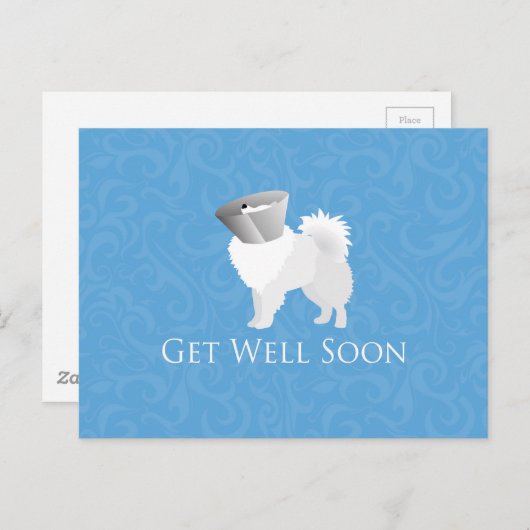 Der amerikanische Eskimo Dog wird bald gut gestalt Postkarte (Vorne/Hinten)