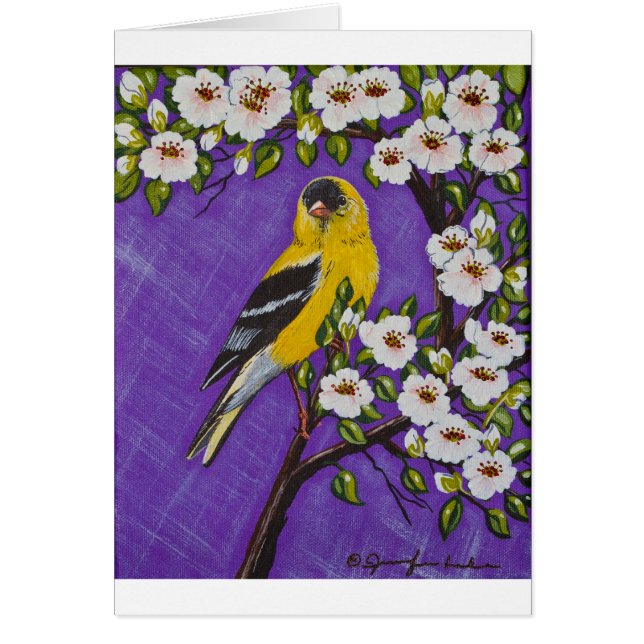 Der amerikanische Goldfinch (Vorne)