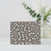 Der Ancient of Daisies Postkarte (Stehend Vorderseite)