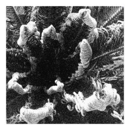 Der Anfang Fotodruck