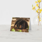 Der Anteater Karte (Gelbe Blume)