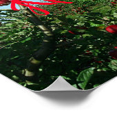 Der Apfelgarten Poster (Ecke)