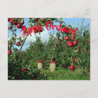 Der Apfelgarten