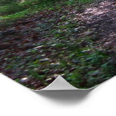 Der Appalachen-Weg, PA Poster (Ecke)