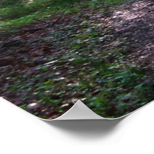 Der Appalachen-Weg, PA Poster (Ecke)