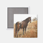 Der Appell Magnet (Vorderseite/Rückseite)