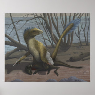 Der Aptian Riverbank-Druck Poster