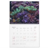 Der Aquarium-Kalender Kalender (Mär 2027)