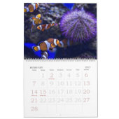 Der Aquarium-Kalender Kalender (Feb 2027)