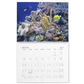 Der Aquarium-Kalender Kalender (Jan 2027)