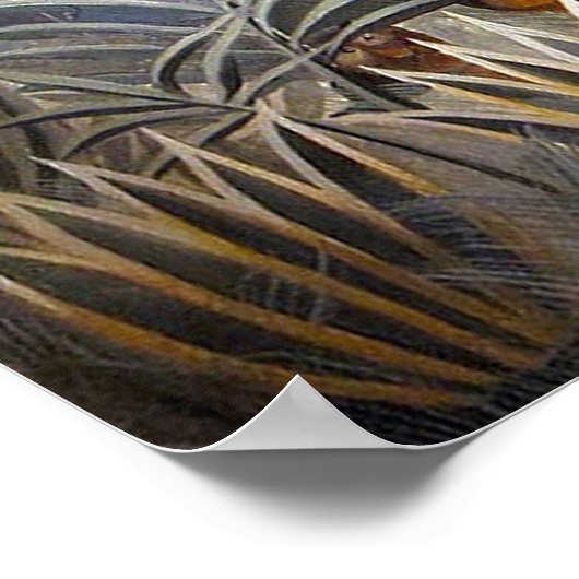 Der Äquatorialdschungel Poster (Ecke)