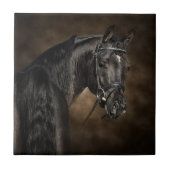 Der Araber Fliese (Vorderseite)