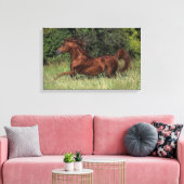 Der arabische Stalon, der im Gras läuft Leinwanddruck (Insitu (Wohnzimmer))