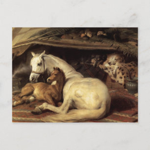 Der arabische Zelt Edwin Landseer Postkarte
